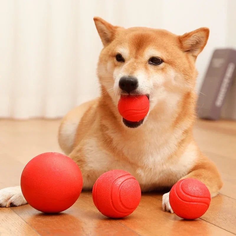 Durable Bouncy Dog Toy for Pets Chew Proof - MyPetDollar.com