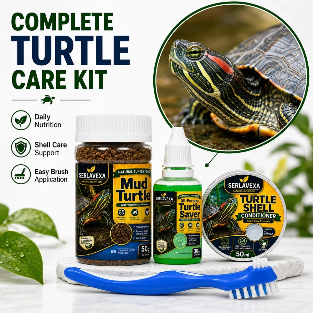 SERLAVEXA 4PCS Turtle Care Set Mud Turtle - MyPetDollar.com