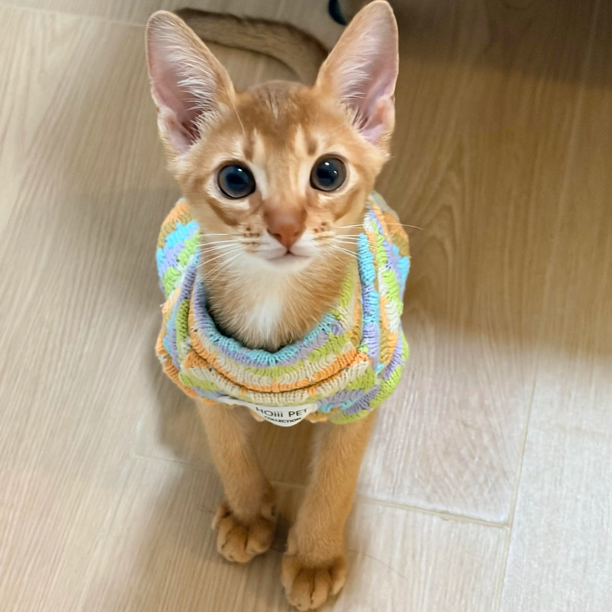 Thickened Warm Striped Sweater Vest Two Legs - MyPetDollar.com