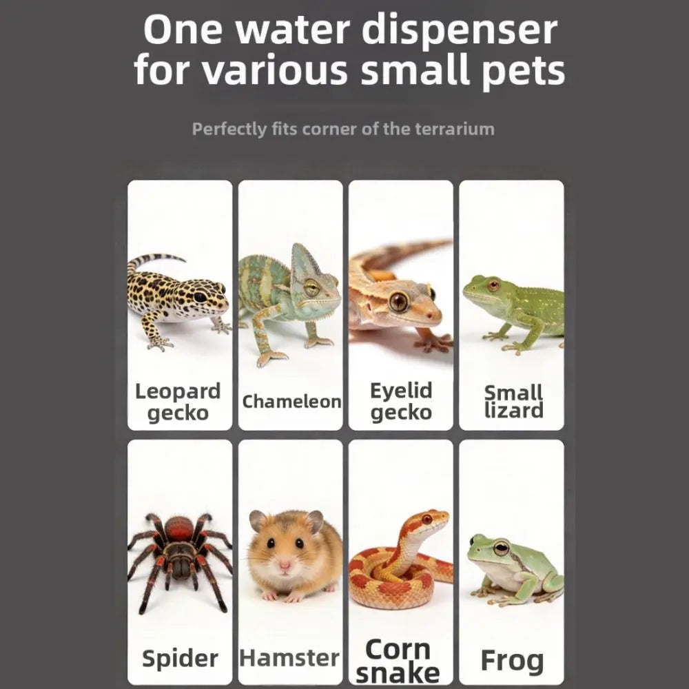 New Automatic Reptile Water Dish Multi-size - MyPetDollar.com