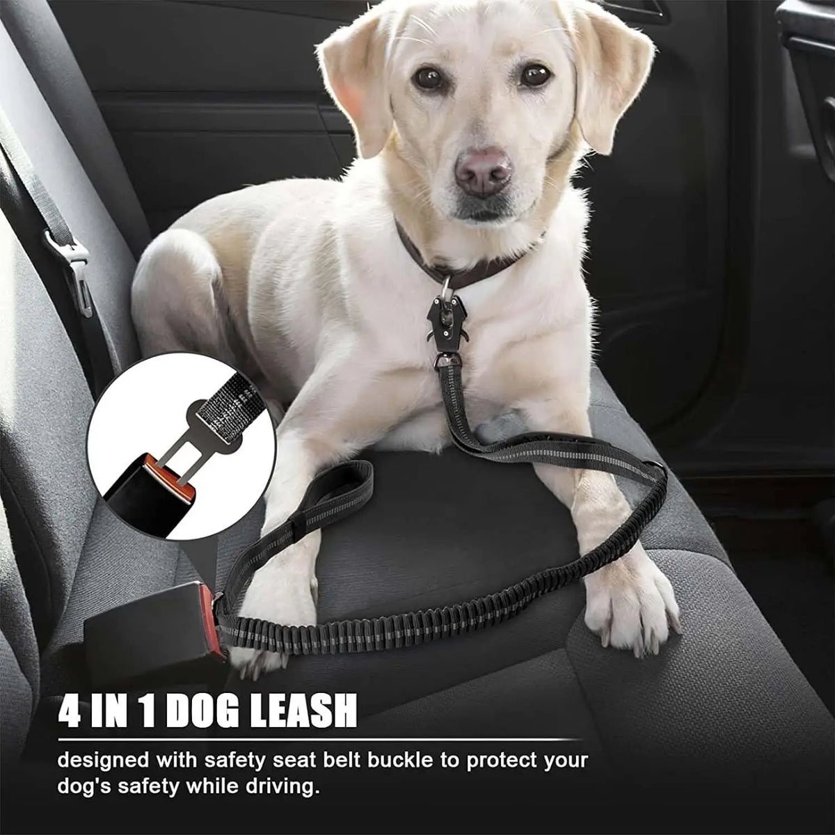 Reflective Shock Absorbing Pet Dog Leash - MyPetDollar.com
