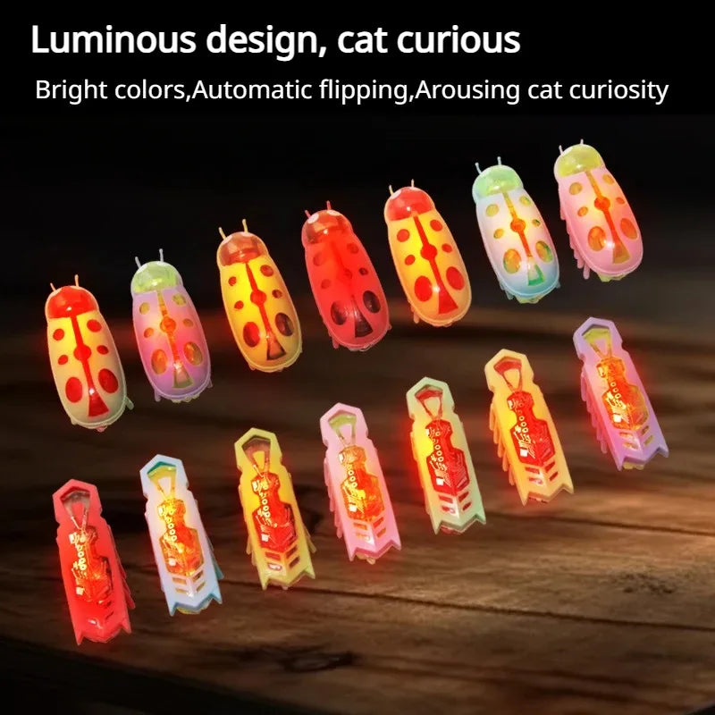 Cat Toys Light-up Electric Worms Pet - MyPetDollar.com