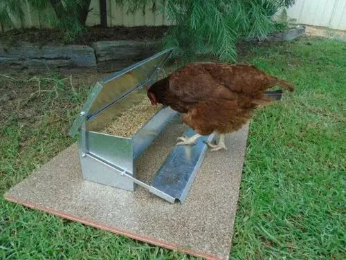 Automatic Chicken Feeder – 2 Colors