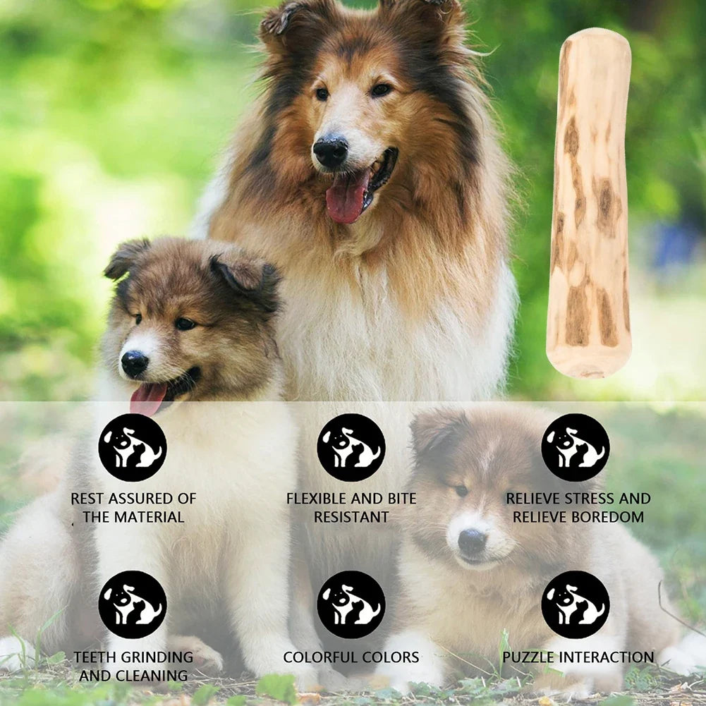 Pet Molar Stick Mumbies Wood Dog Chews Toy - MyPetDollar.com