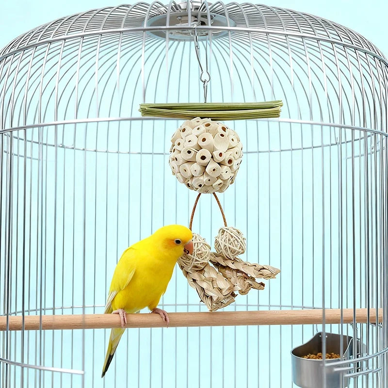 Funny Parrot Tongcao Ball Bird Chewing Toy - MyPetDollar.com