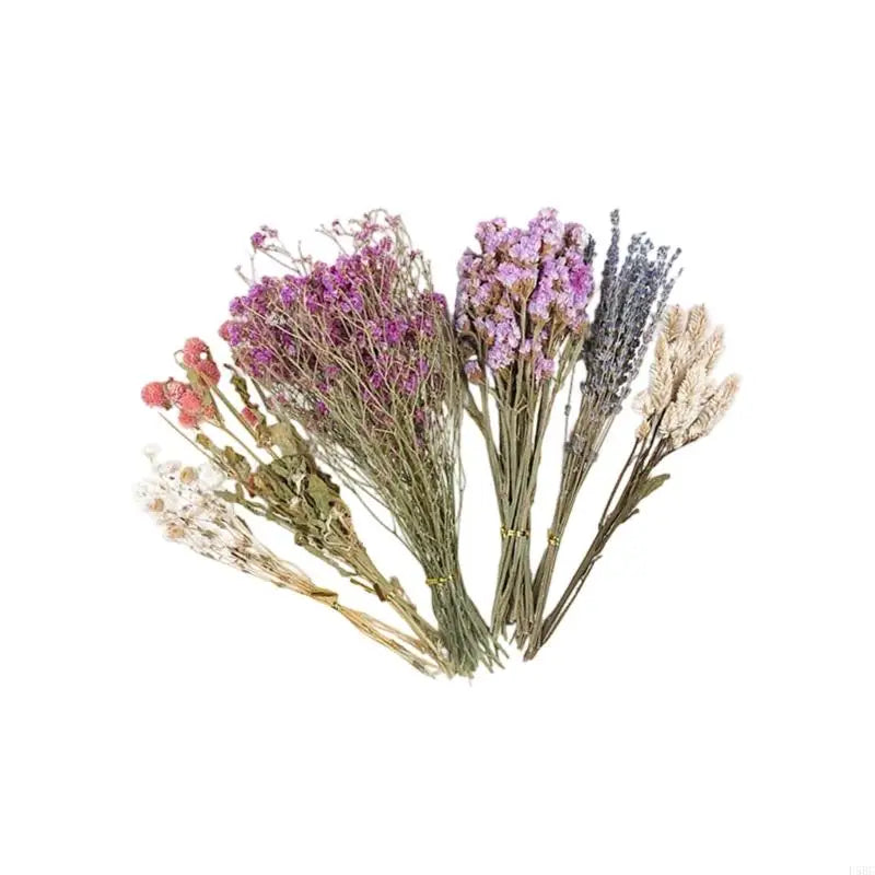 Natural Dried Flower Bedding for Hamster - MyPetDollar.com