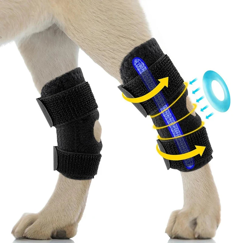 Protector Support Protects Bandage Pet Knee - MyPetDollar.com
