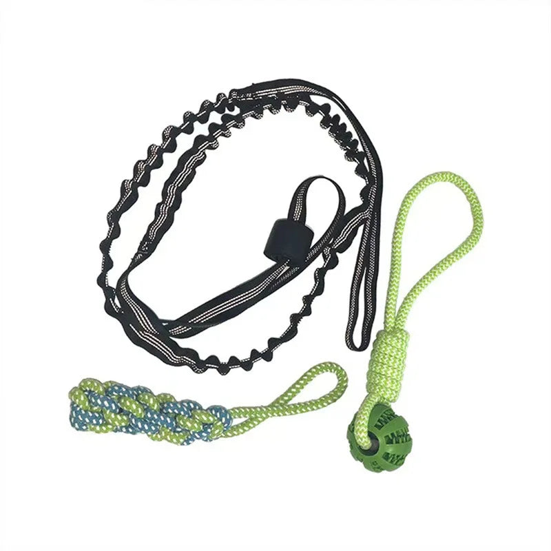 Interactive Spring Pole Dog Rope Toys – Dog Supplies