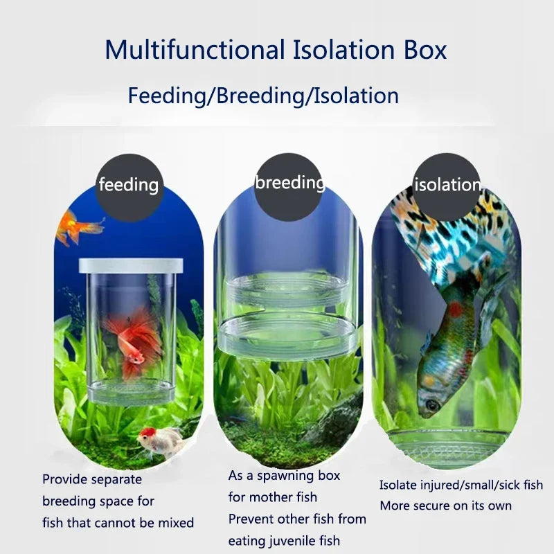 Plastic Floating Fish Breeding Isolation Box - MyPetDollar.com