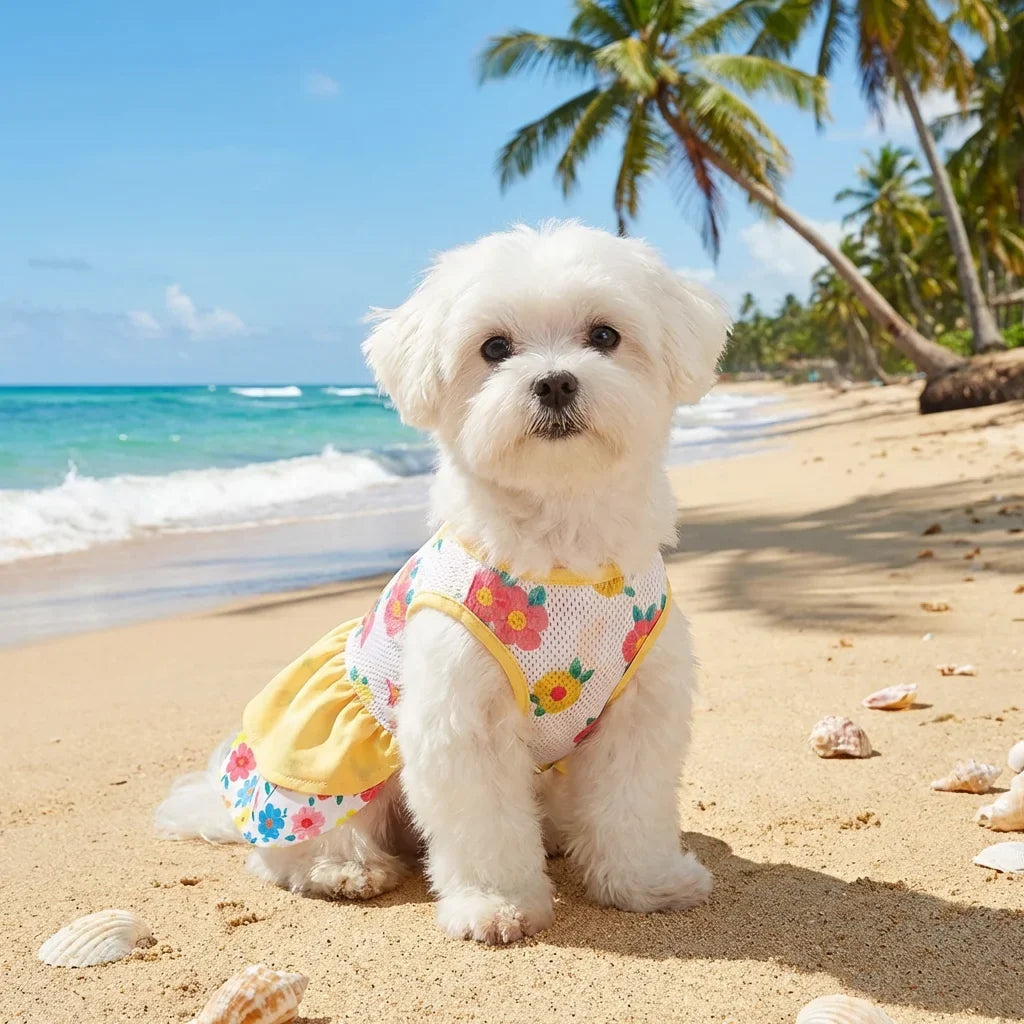 Pet Dog Dress, Yellow-White Double-Layer - MyPetDollar.com