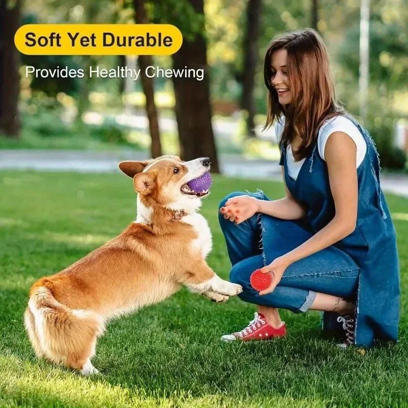 6 Pieces Durable Dog Rubber Toys Chew Play - MyPetDollar.com
