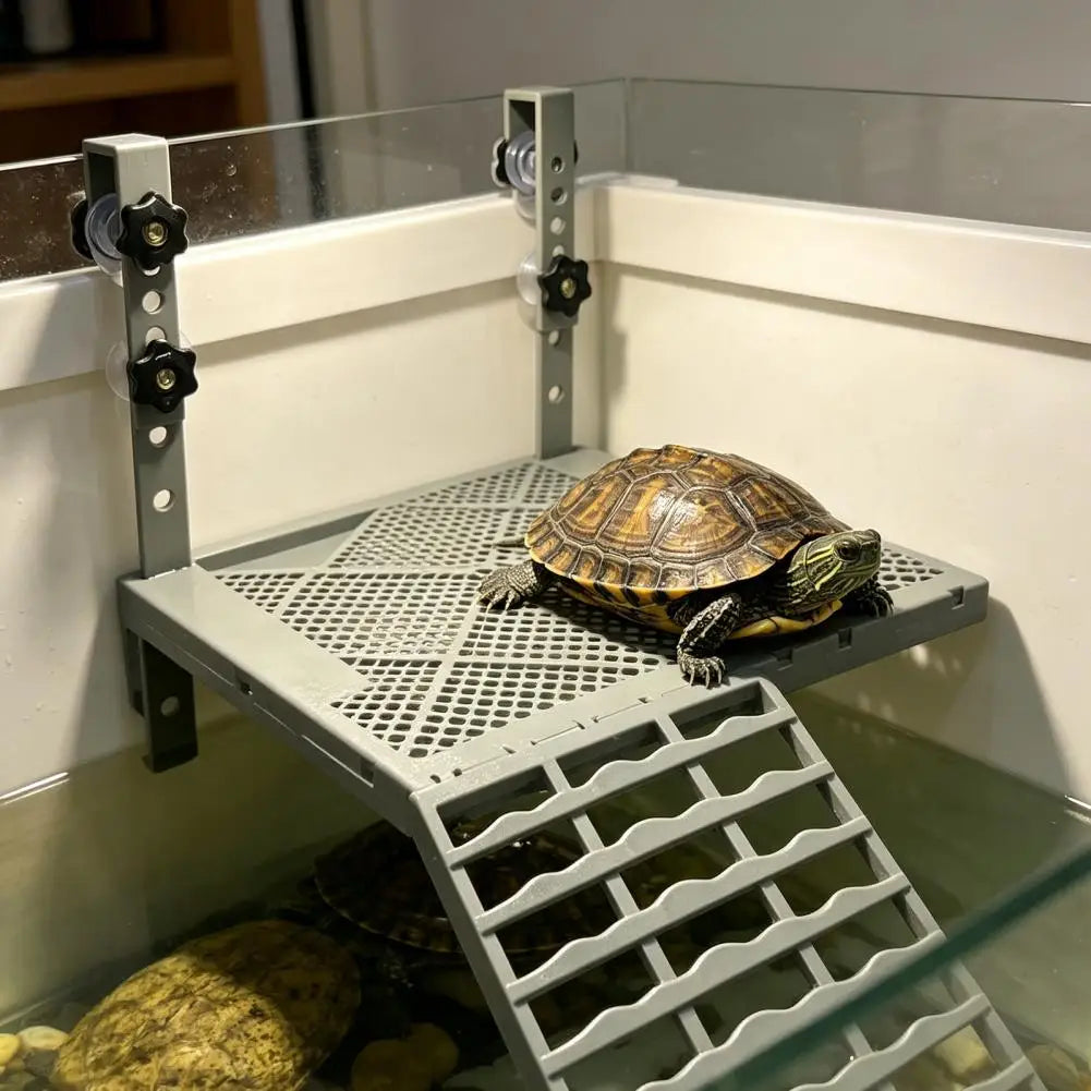 1P Solid Form Hanging Turtle Basking - MyPetDollar.com