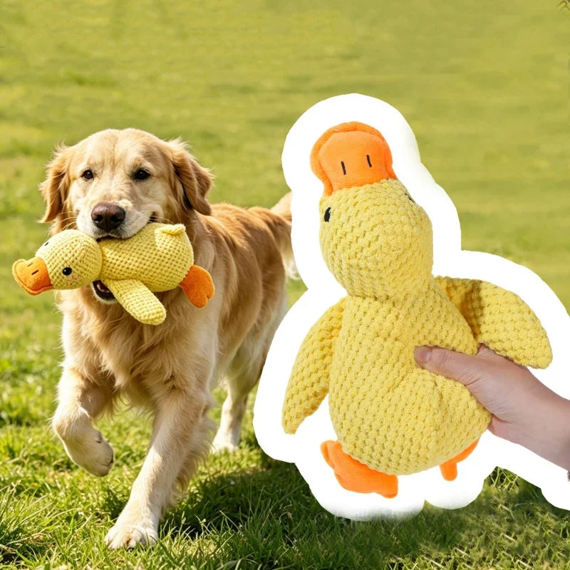 Yellow Duck Dog Plush Toy Molar Chew Toy - MyPetDollar.com