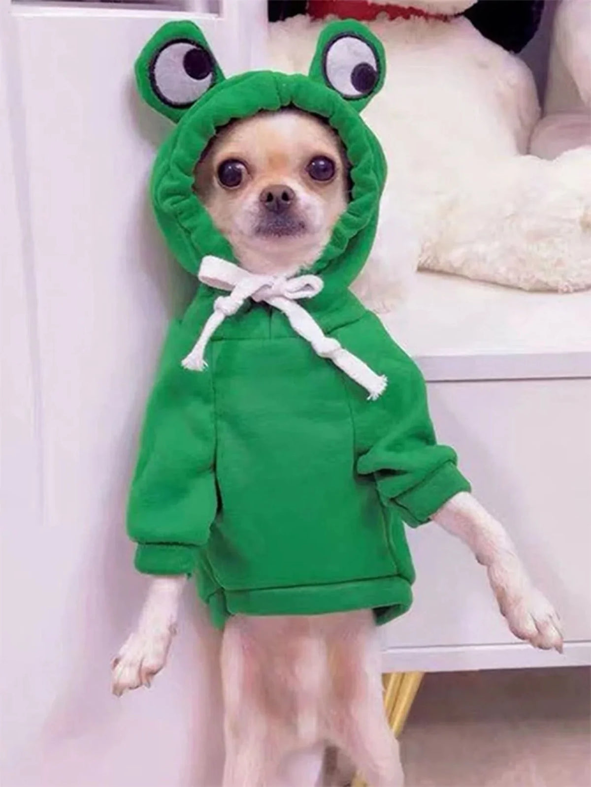 1PC Cute Frog Pet Sweater for Small and - MyPetDollar.com