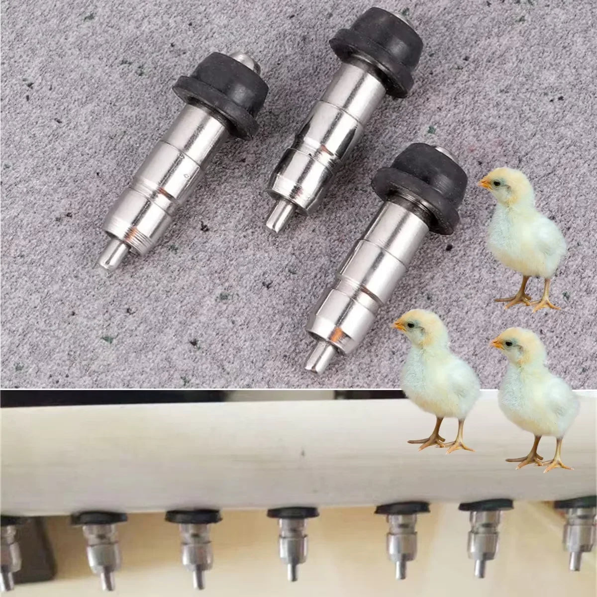 5/20Pcs Poultry Nipple Drinkers Stainless - MyPetDollar.com