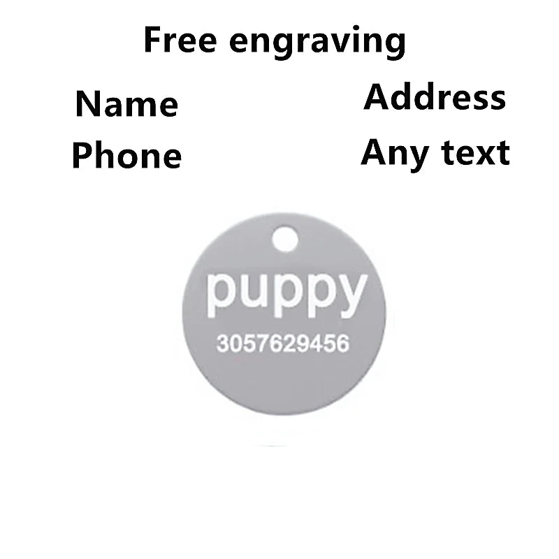 2pcs Free Laser Engraving Pet Dog ID Tag Cat - MyPetDollar.com