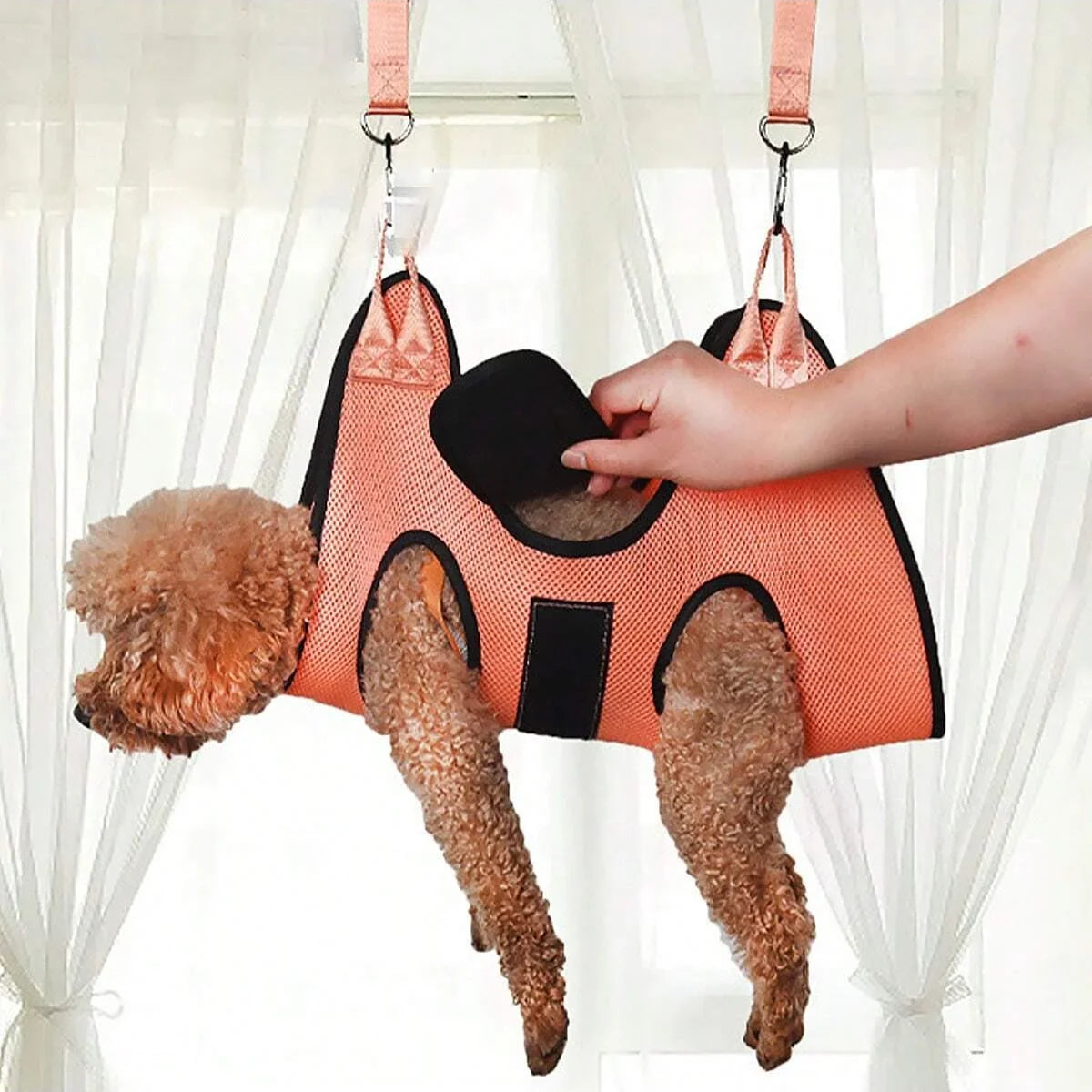1PC-Pet grooming hammock, dog grooming - MyPetDollar.com