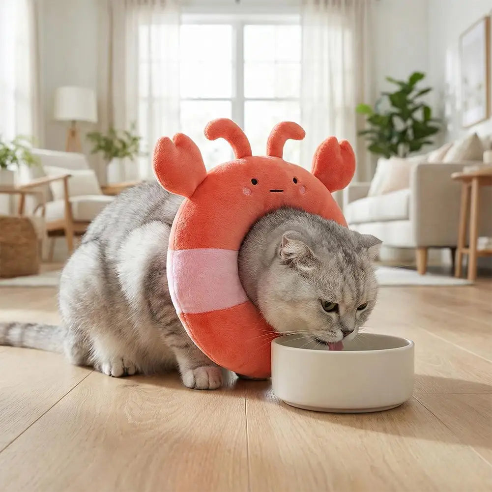 Cute Pet Cat Elizabethan Collar Dog Cat - MyPetDollar.com