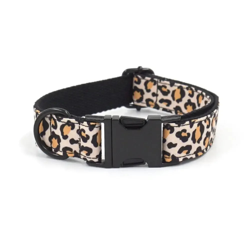 Personalized Dog Collar Custom Puppy - MyPetDollar.com