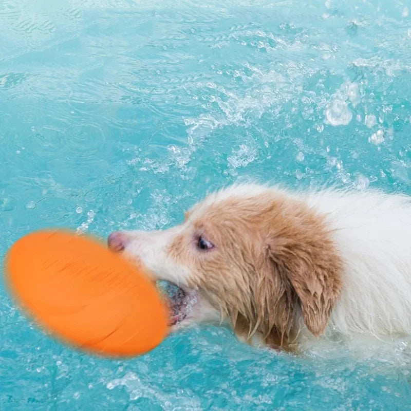 Pet Dog Flying Disk Toy Silicone Material - MyPetDollar.com