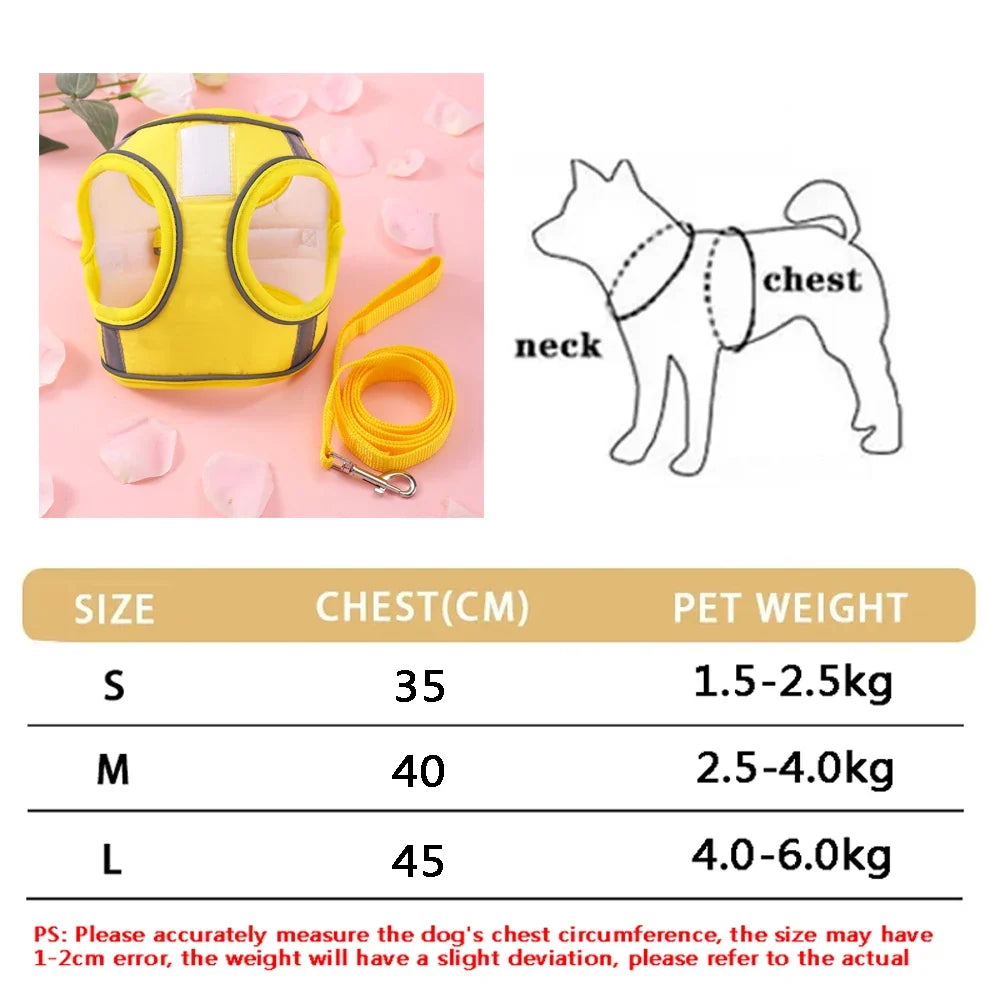 New Breathable Cute Cat Harness Set - MyPetDollar.com