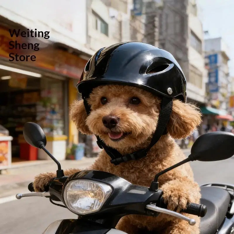 Durable Fashion Plastic Pet Dog Helmet - MyPetDollar.com