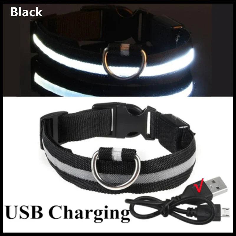 USB Rechargeable Luminous Collar Adjustable - MyPetDollar.com