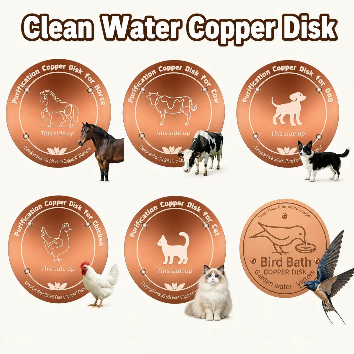 10CM Bird Bath Copper Disk Purification Tray - MyPetDollar.com