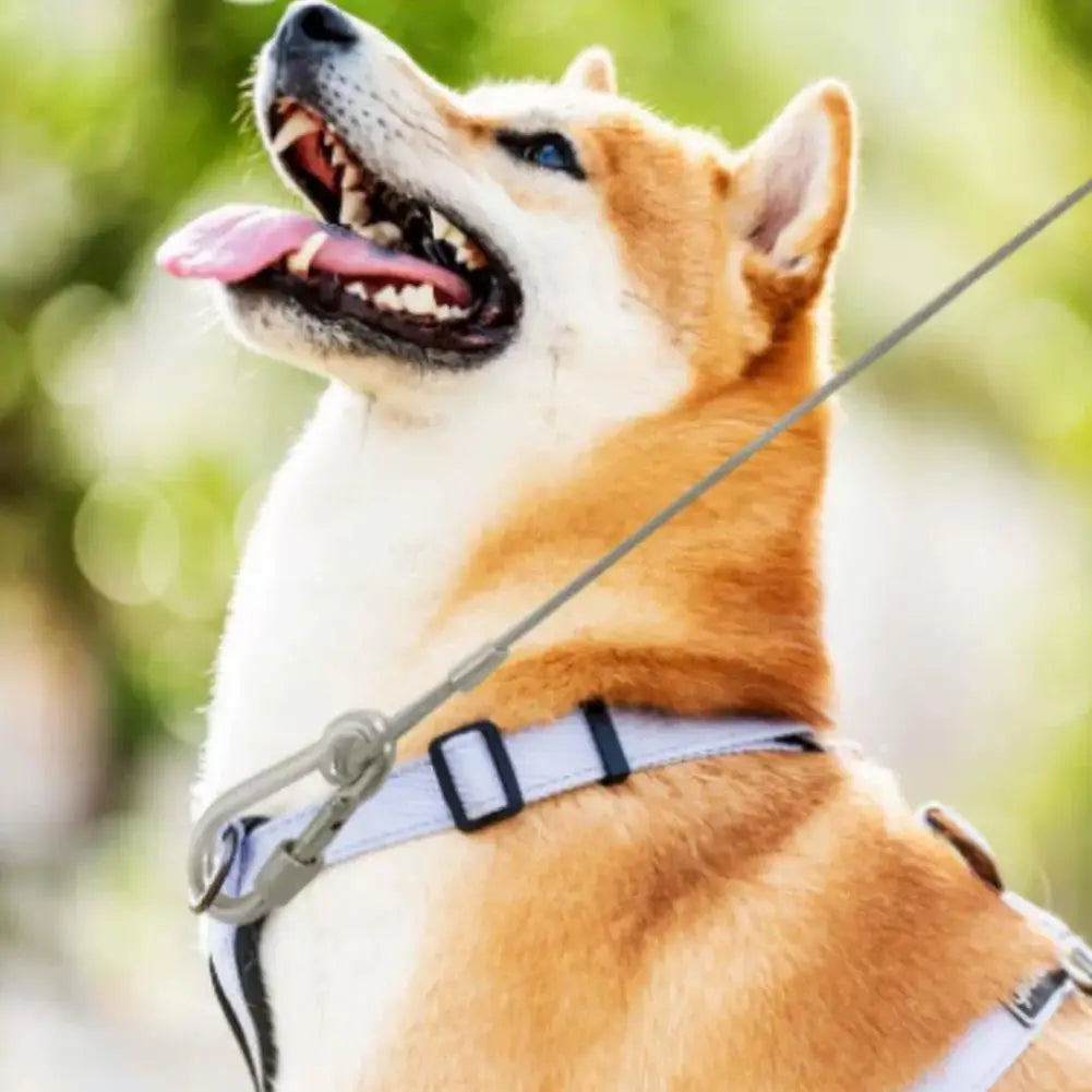 Dog Chains Lead Leash Cable Double-headed - MyPetDollar.com