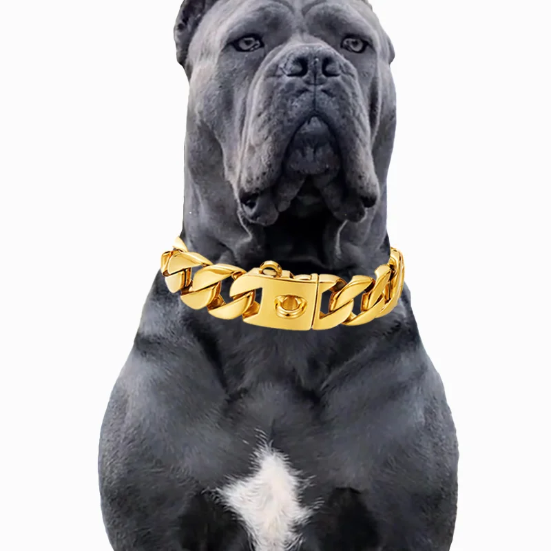 Large Dog Collar 32mm Metal Pet Choker Gold - MyPetDollar.com
