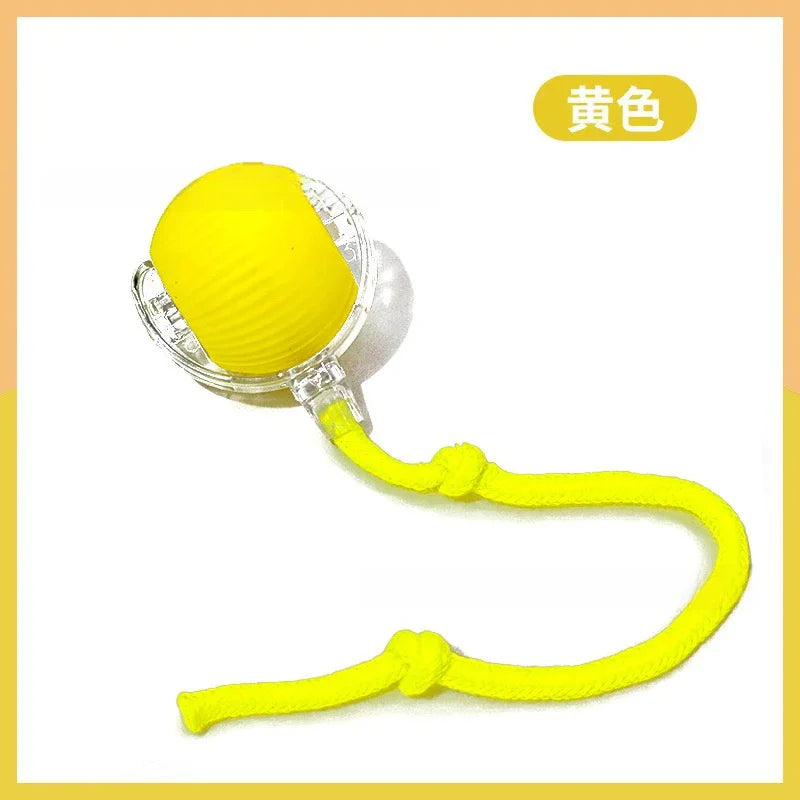 Cat Toy Ball Interactive with String Durable Bite Resistant – Cat Supplies