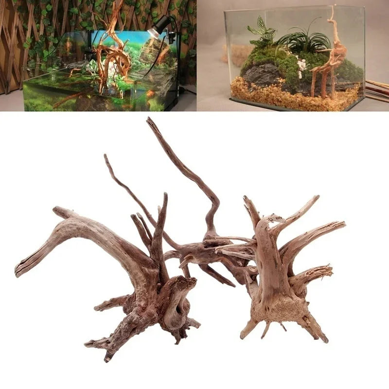 Natural Tree Trunk Driftwood Aquarium Fish - MyPetDollar.com