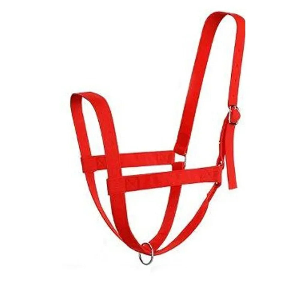 Adjustable Cow Halter with Lead Nylon - MyPetDollar.com
