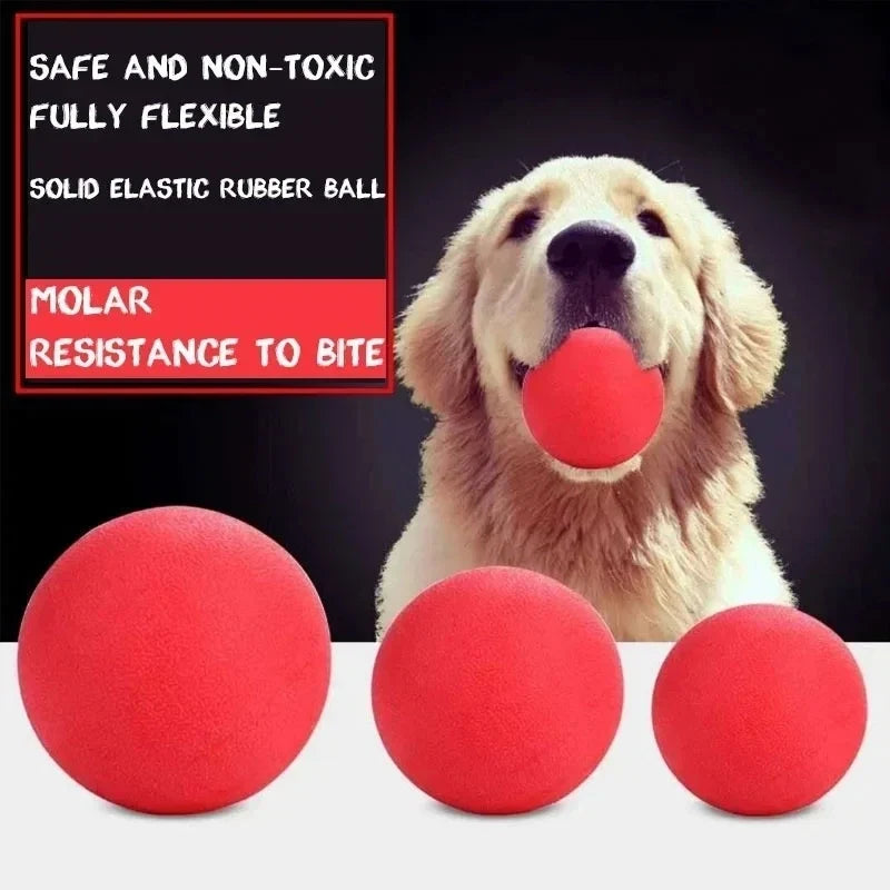 Indestructible Solid Rubber Ball Pet Dog Toy - MyPetDollar.com