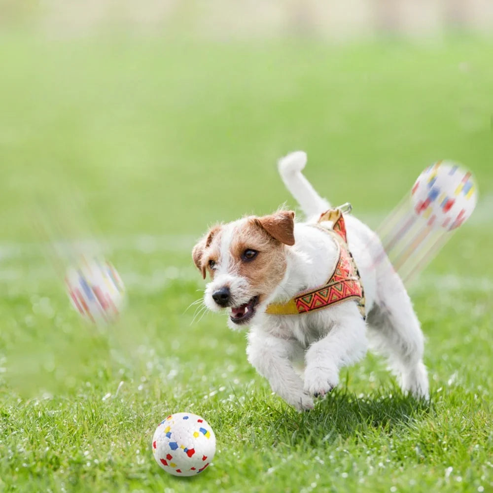 Indestructible EPTU Dog Ball: Extreme - MyPetDollar.com