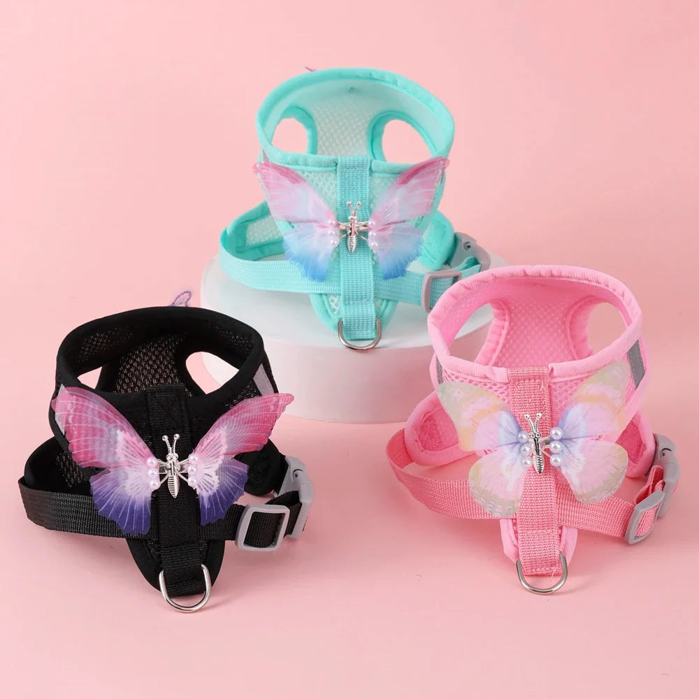 New Breathable Cute Cat Harness Set - MyPetDollar.com