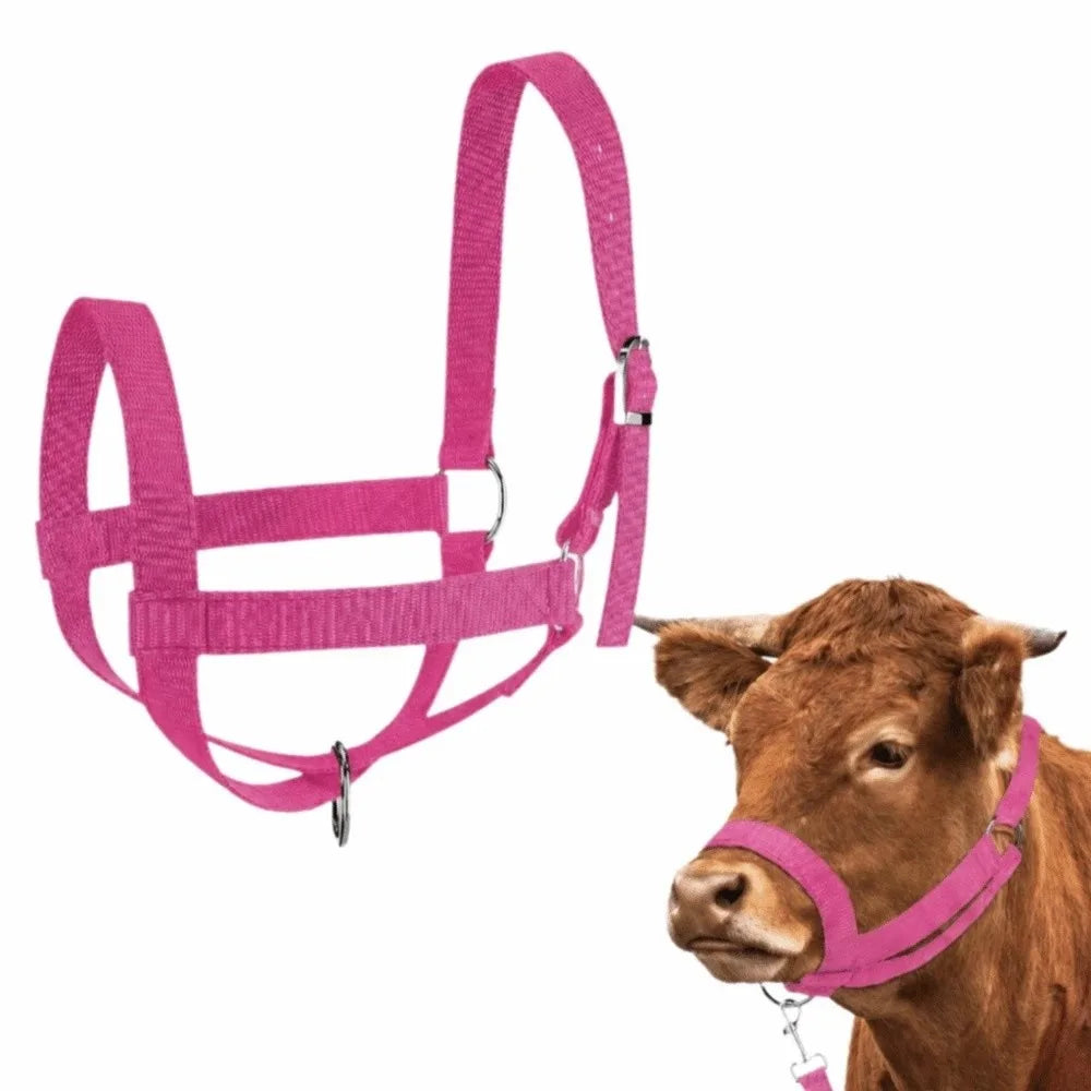 Durable Adjustable Cow Halter with Lead