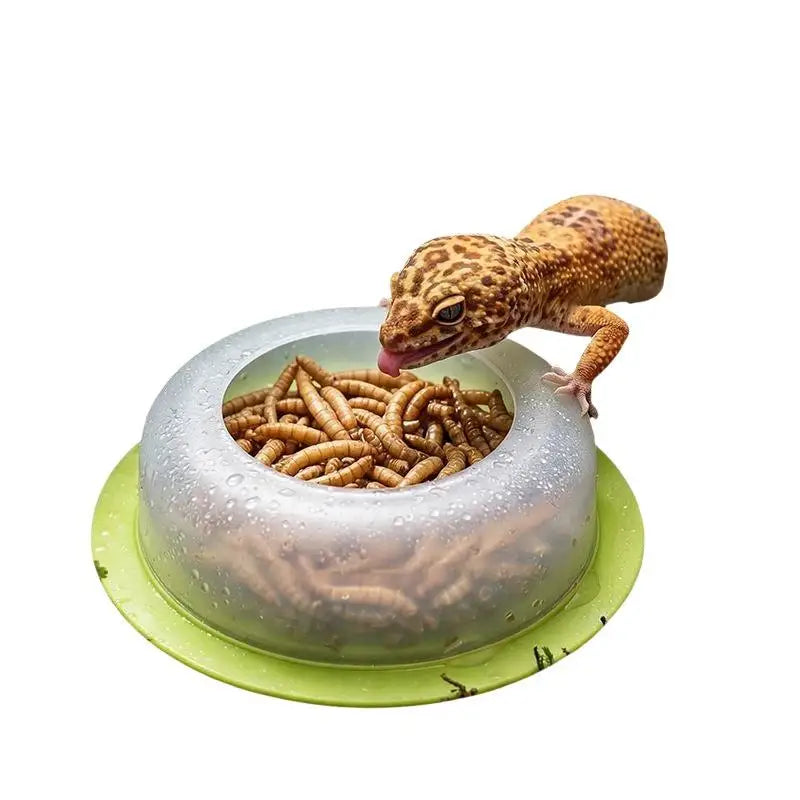 【CC】1Pcs ABS Reptile Feeding Dish Anti - MyPetDollar.com