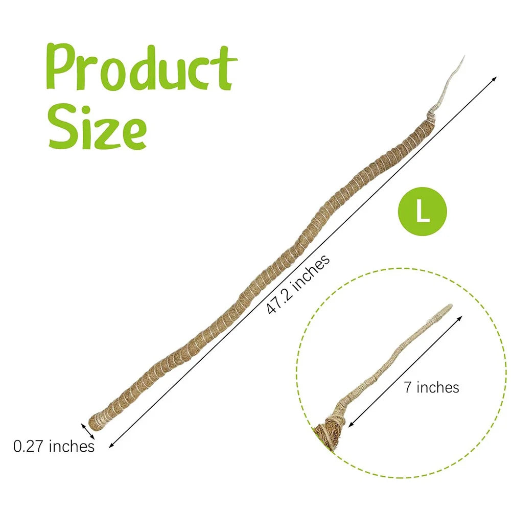Flexible Reptile Climbing Vines, Bendable Branches Tank – 2 Colors