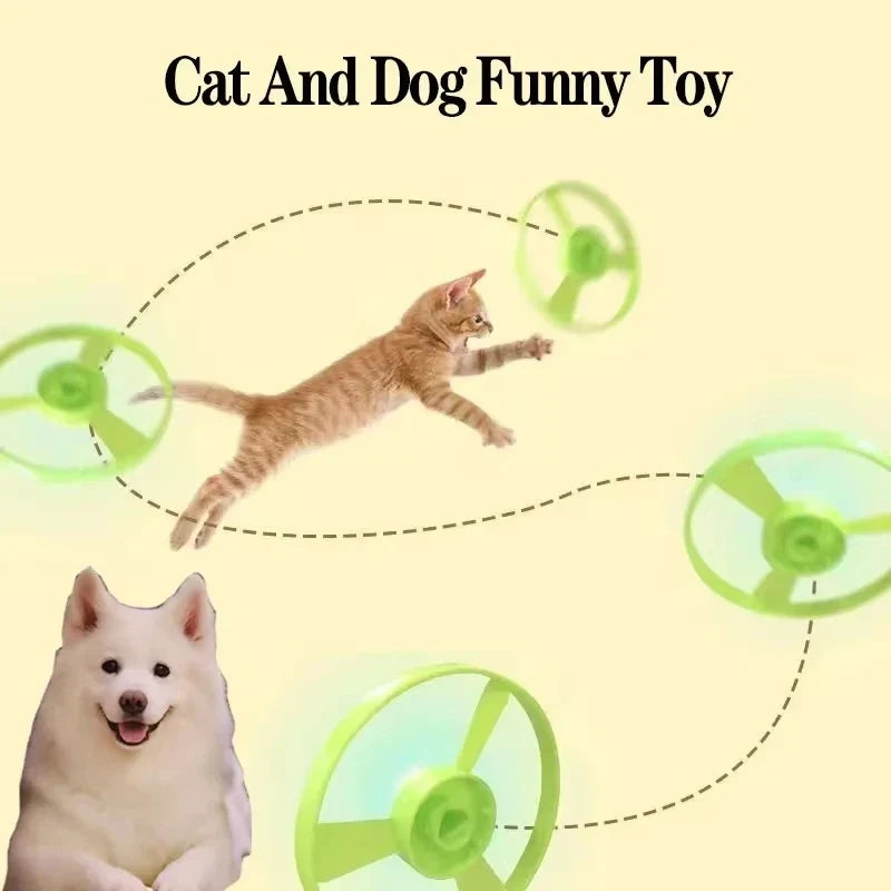 Funny Cat Toys Interactive Teaser