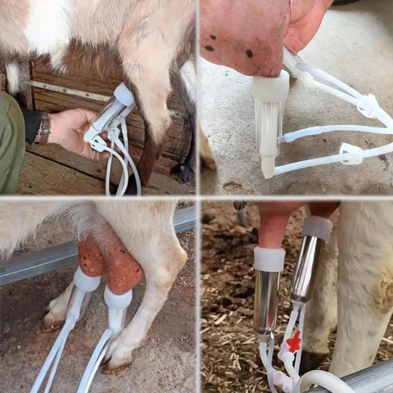 10L Cow/Goat Milking Ma Cow - MyPetDollar.com