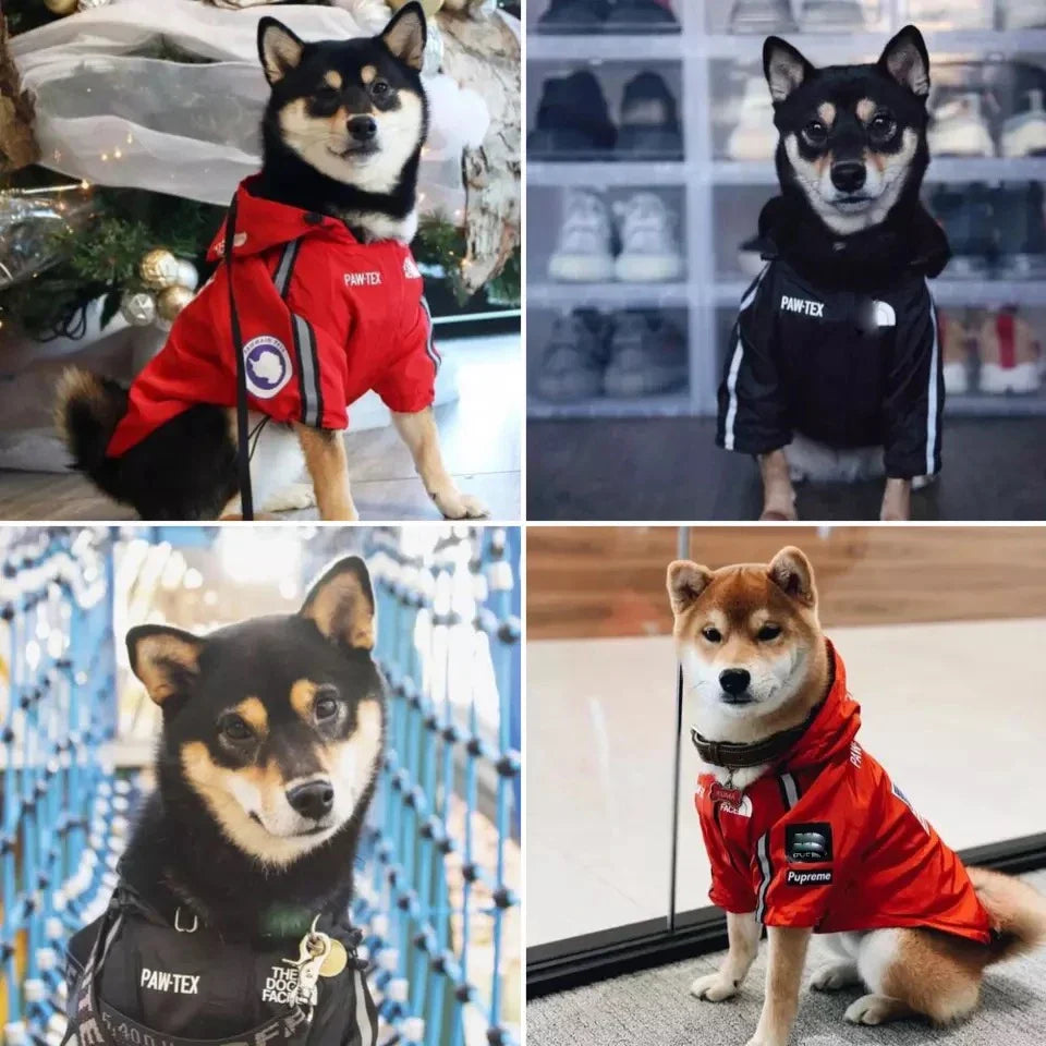 Pet Dog Waterproof Coat Dog Raincoat - MyPetDollar.com
