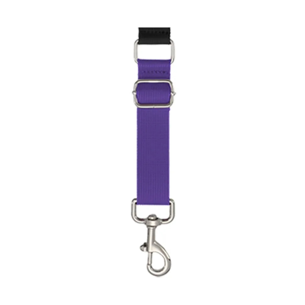 Basic Design Dog Grooming Leashes Elastic - MyPetDollar.com