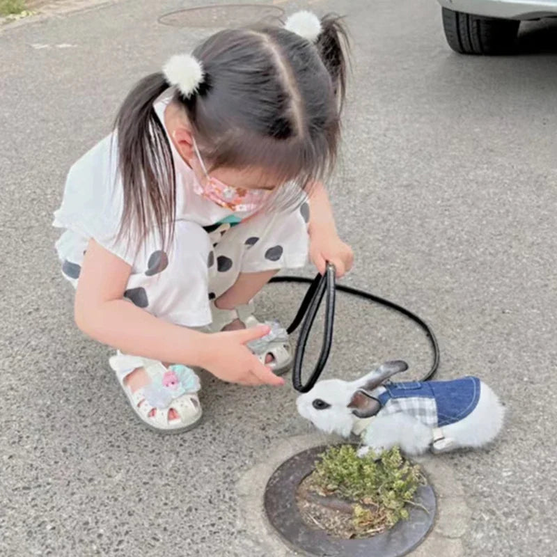 Walking Small Animals Pet Harness for - MyPetDollar.com