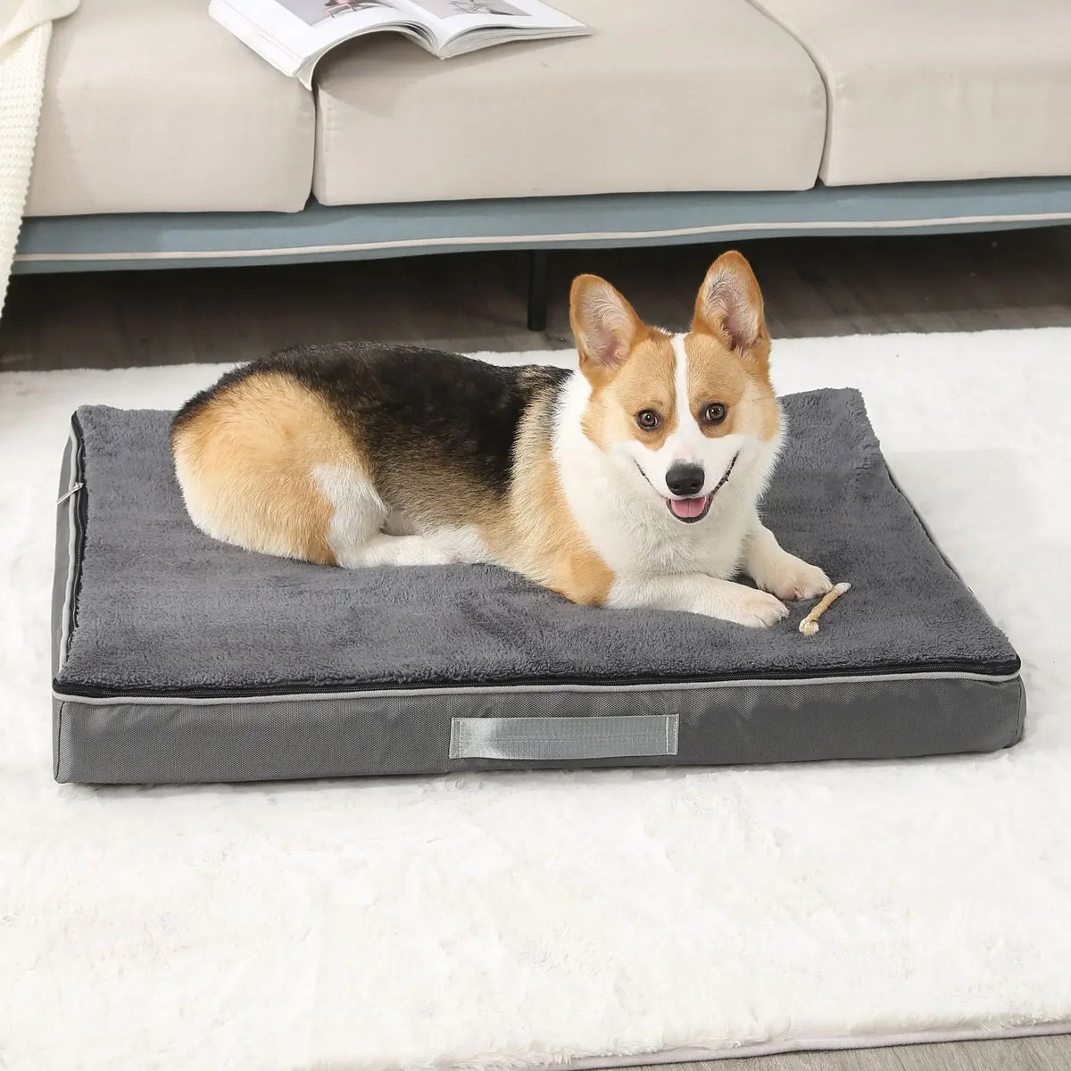 Memory Foam Pet Mat Teddy Golden Retriever - MyPetDollar.com