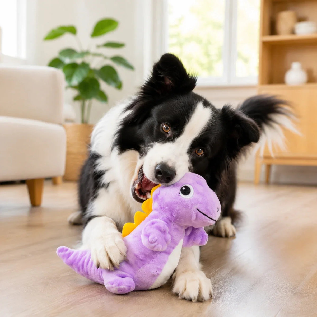 Dinosaur Series Pet Squeaky Plush Toy - MyPetDollar.com