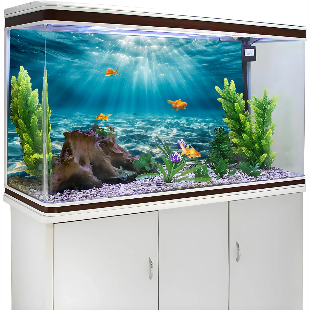 Blue Ocean Beach, Fish Tank Background - MyPetDollar.com