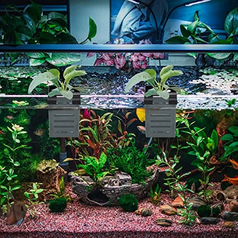 Aquarium Plant Holder Hanging Basket Water - MyPetDollar.com