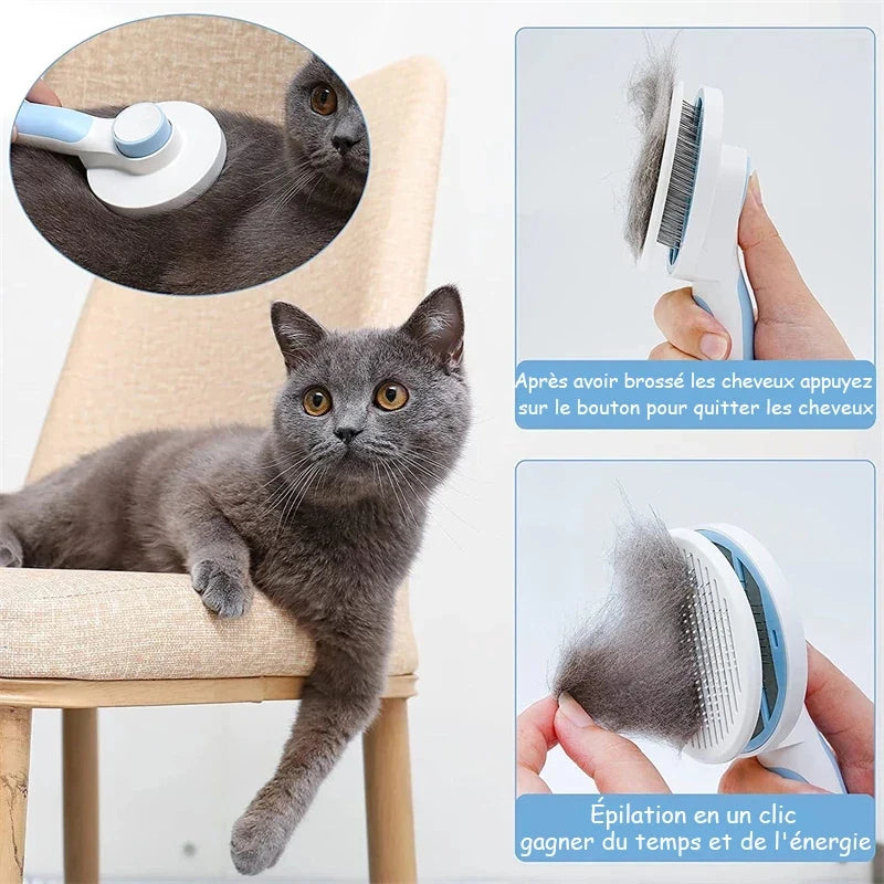 Customizable Pet Cat Brush Dog Comb Hair - MyPetDollar.com