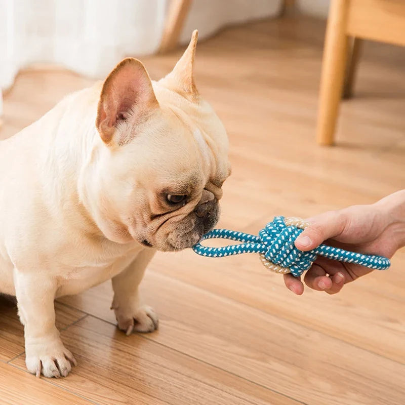 Interactive Cotton Rope Mini Dog Toys Ball - MyPetDollar.com